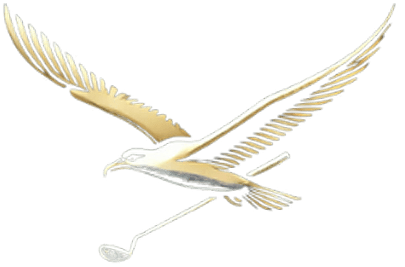 Albatross bird